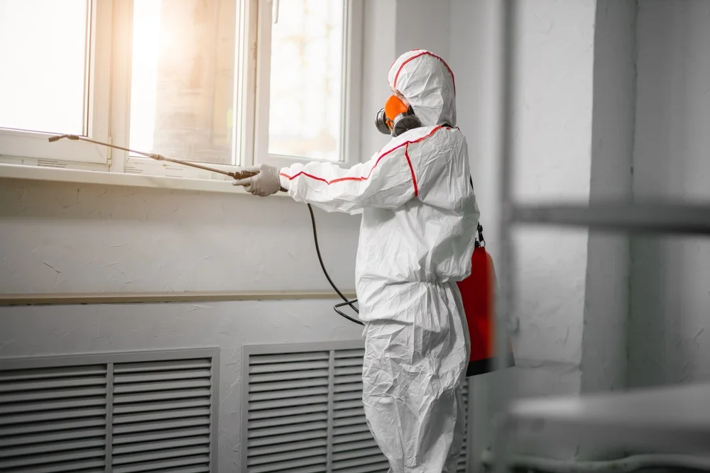 Professional mold remediation services in Lincolndale, NY
